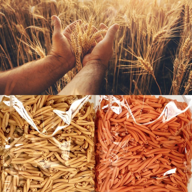 Máquinas y líneas para fábricas de pasta